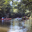 DSC00367.jpg