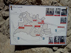 IMG460.jpg