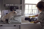 Oh Franny, stop complaining!  Taking a bath isn't such a big deal.  In fact, it's important to our health!