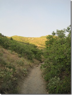 IMG_7916 IMG_7916