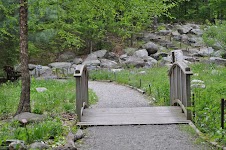 DSC_0194.JPG