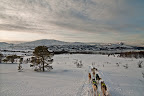 Tromsø Villmarkssenter auf Kvaløya