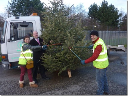 Paul Jackson from Fords of Winsford, centre, and Barclays staff grappling with the cutters as they part part in St Luke's Christmas Tree Recycling Scheme