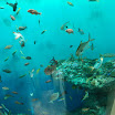 hokkaido_515.jpg