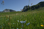 DSC03213.JPG