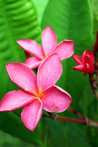[IMG_9767%255B3%255D.jpg]
