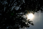http://lh4.ggpht.com/-uFFGWLtQW1w/THHbIo0IwBI/AAAAAAAAANI/V3S3toMRa5s/s1600/IMG_0102.JPG