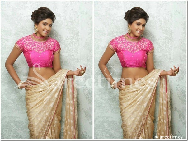 Manisha_Yadav_Saree_Blouse Manisha_Yadav_Saree_Blouse