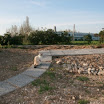 2009 (1).JPG