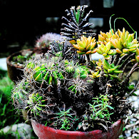 DSC_9863.jpg DSC_9863.jpg