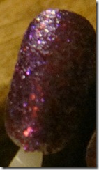 DSC03559