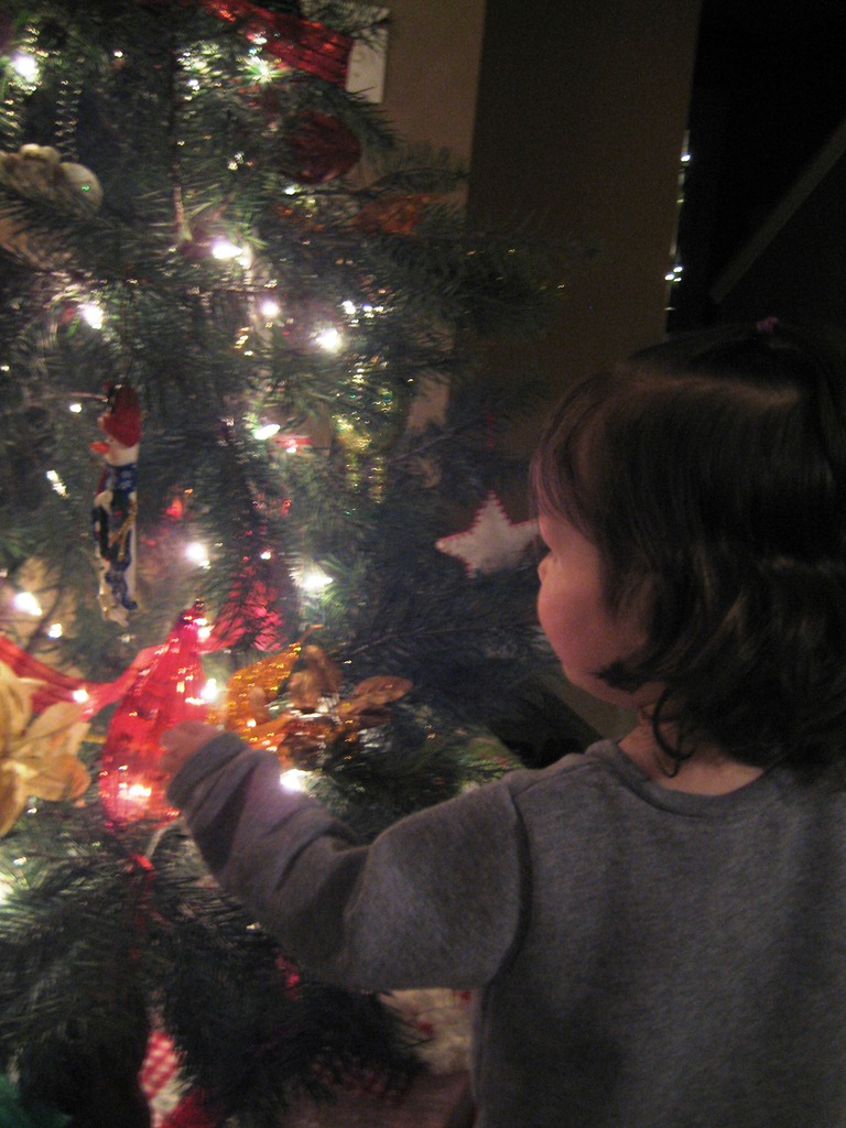 [IMG_7410%255B10%255D.jpg]