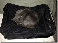 KC suitcase