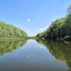 IMG_1368.JPG