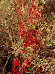 IMG_20121202_163354.jpg