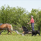 Ferme L'Auteuilloise