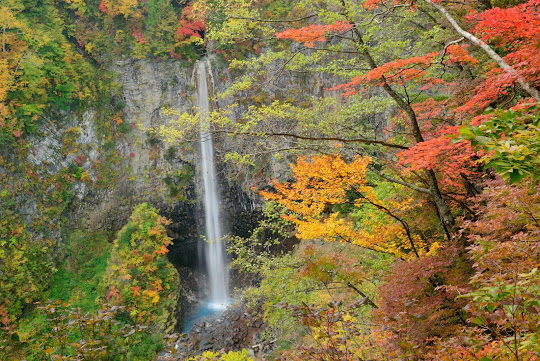 白水の滝