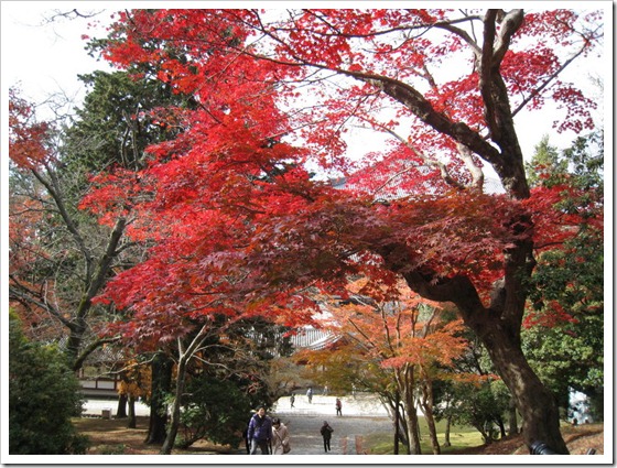 東大寺4