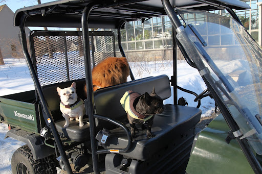 Well, here we are at the greenhouse!  This is a good place for a photo shoot during winter.  It's nice and toasty inside!
