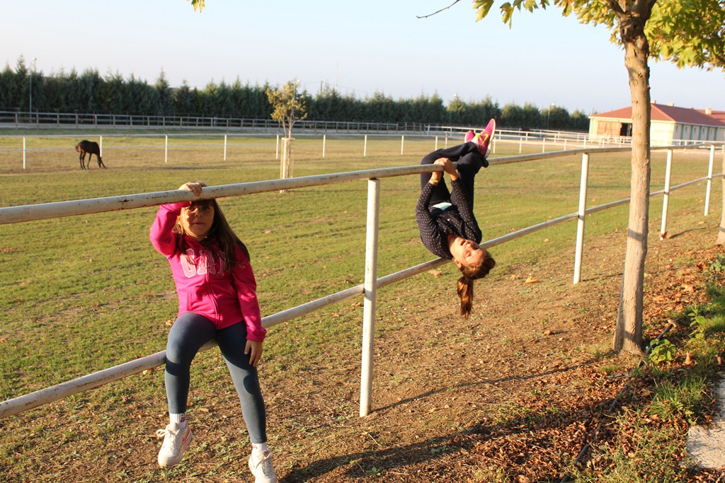 [IMG_24873.jpg]