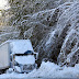 2011-12 First Winter Storm 1023.jpg