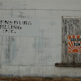 "Greensburg Milling" - copyright David J. Thompson