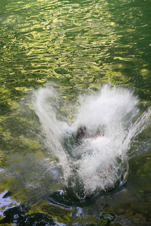 [IMG_9855%255B4%255D.jpg]