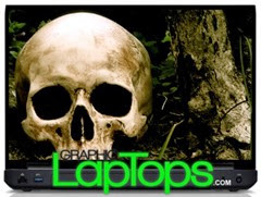 laptop-skin-skull-dug