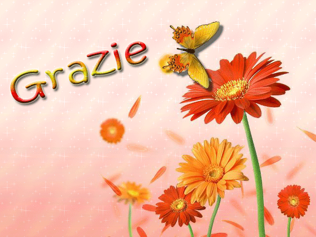 grazie grazie