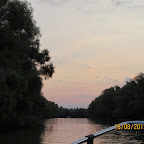 IMG_8009.JPG