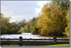 Coombe Abbey