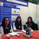 ferias cientificas sip