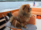 Francesca, you check the starboard side and I'll check port!