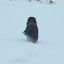 DSC_9904.JPG