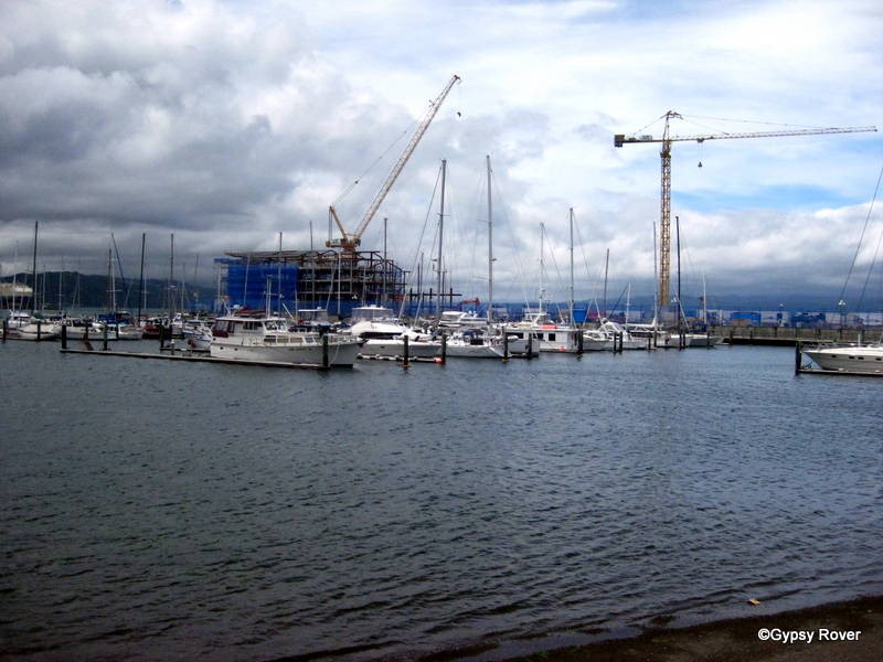 [IMG_7980%255B8%255D.jpg]