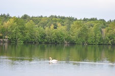 DSC_1206.JPG
