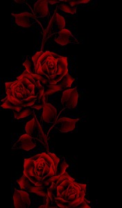 [red-roses-black-lovely%255B12%255D.jpg]