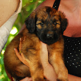 Abi - DSC_0193.jpg