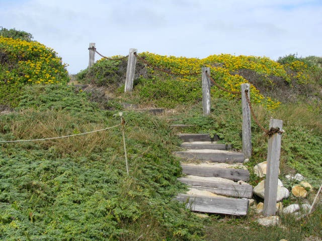 [IMG_00962.jpg]