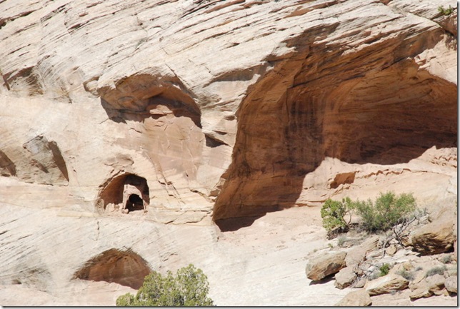 04-25-13 A Canyon de Chelly North Rim (118)