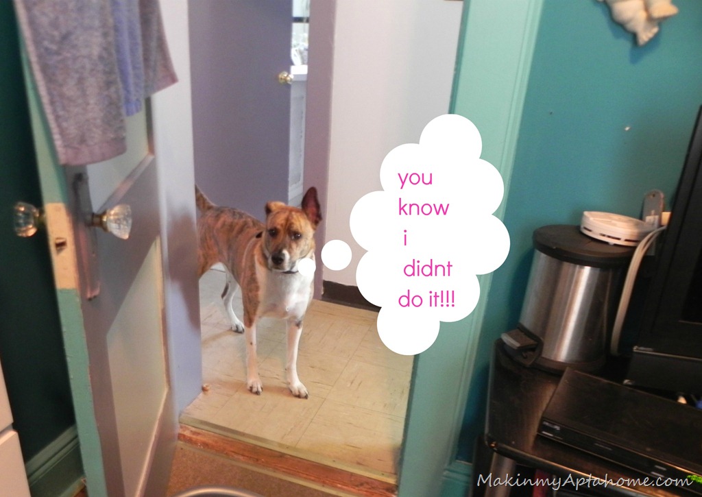 [DSCN9693%255B4%255D.jpg]