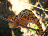 South Africa - 130.JPG