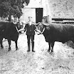 Home Farm1900(Edit).jpg