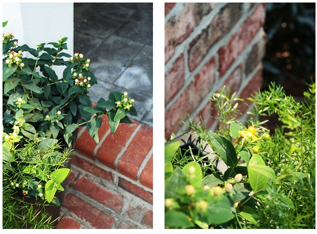 [planters%255B3%255D.png]