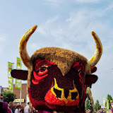 IMGP1480.JPG