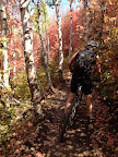 ParkCity_003.jpg