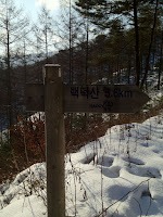 IMG_0421.jpg Photo