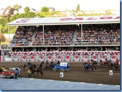 9564 Alberta Calgary Stampede 100th Anniversary - GMC Rangeland Derby & Grandstand Show - Chuckwagon Races