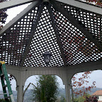 IMG_20111116_084307.jpg