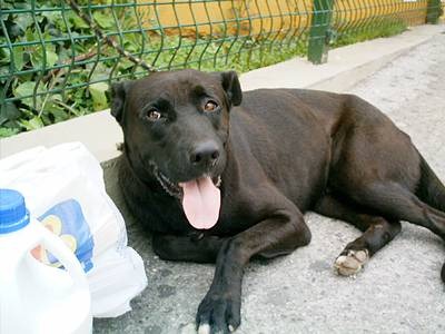 [Moscow%25203%255B2%255D.jpg]